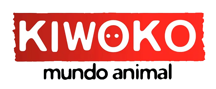 Kiwoko enlace